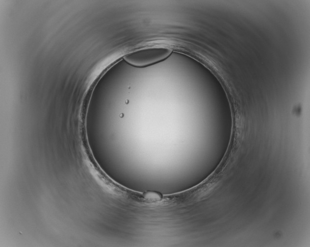 X0000113581426200910021642