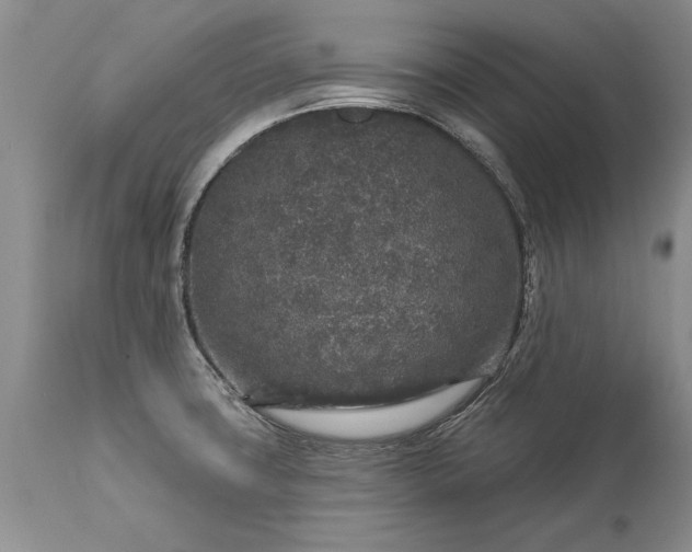 X0000113581427200910021642