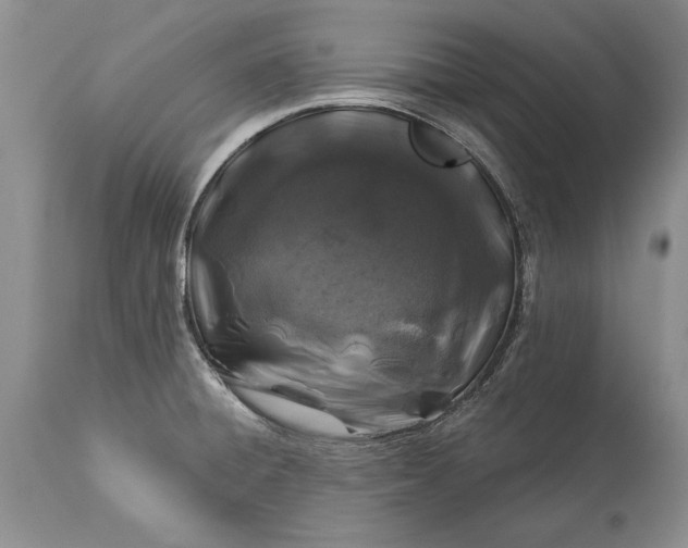 X0000113581428200910021642