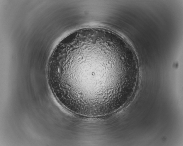 X0000113581429200910021642