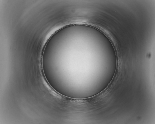 X0000113581432200910021642