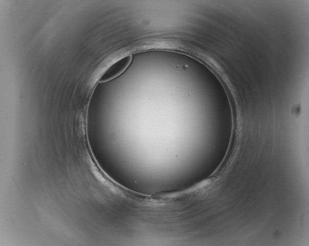 X0000113581433200910021642