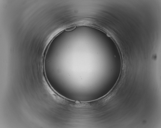 X0000113581434200910021642