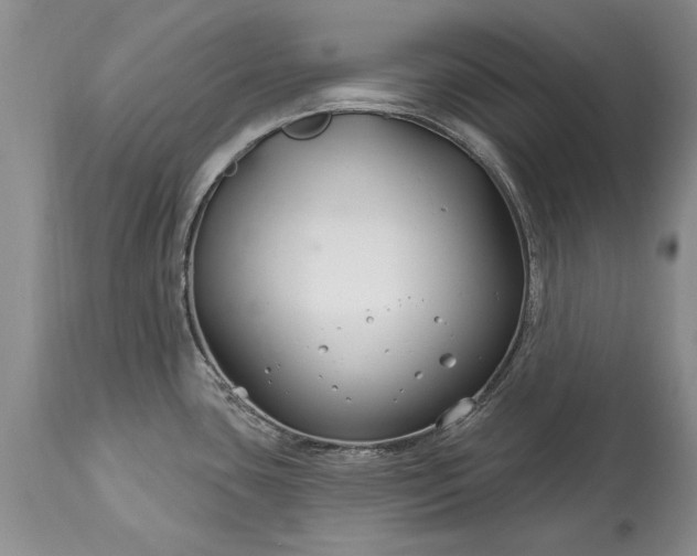 X0000113581435200910021642