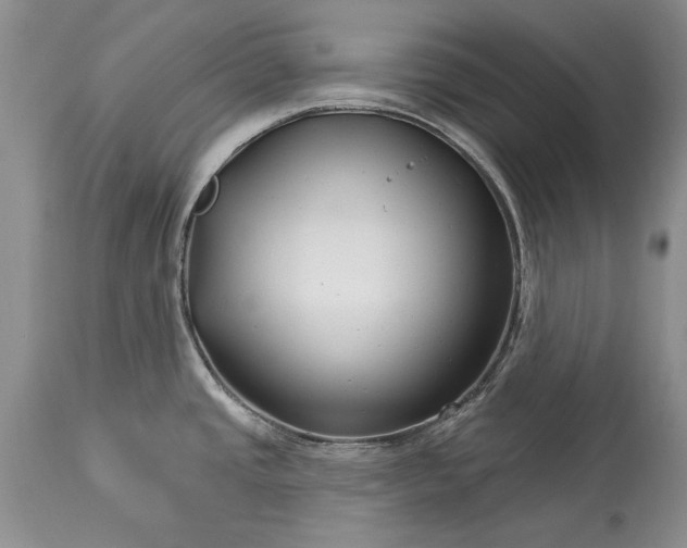 X0000113581437200910021642