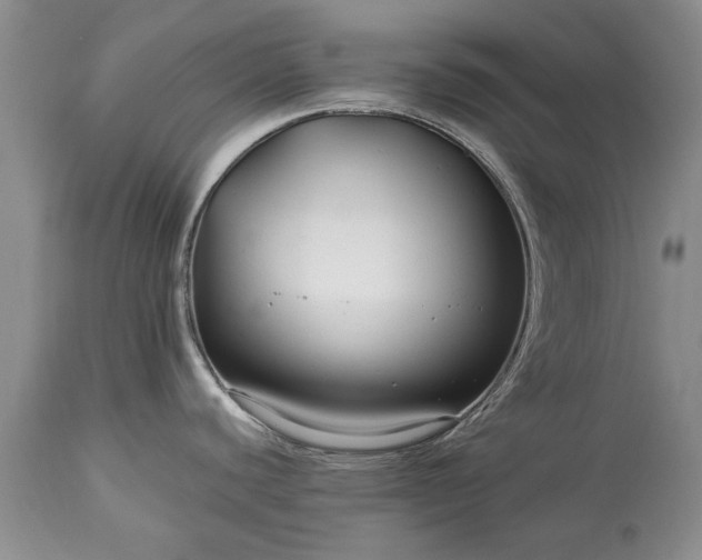 X0000113581440200910021642