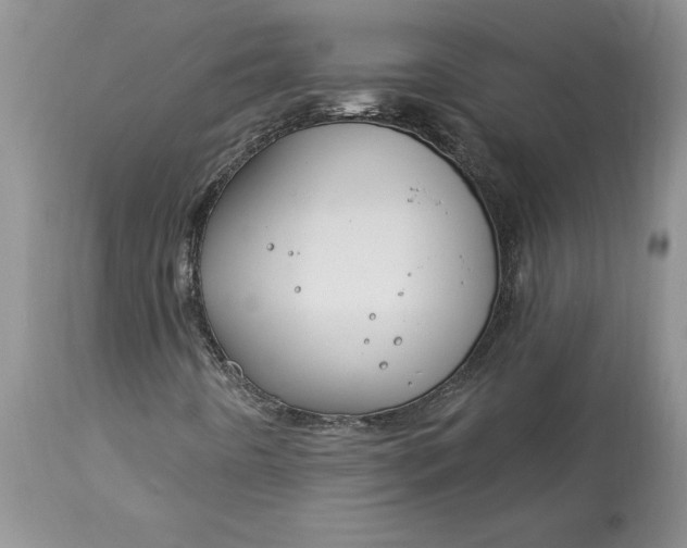 X0000113581442200910021642