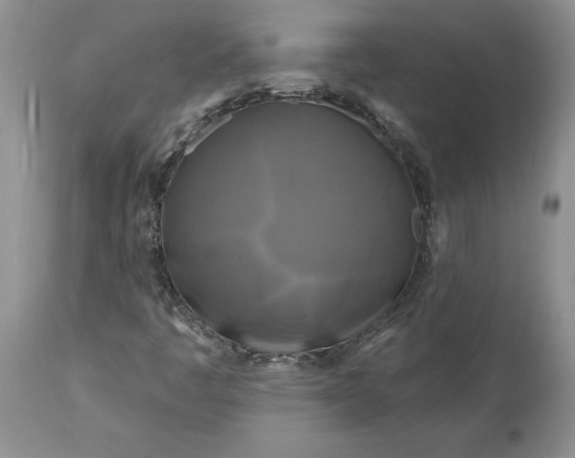 X0000113581445200910021641