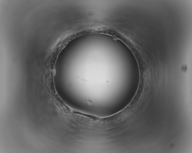 X0000113581447200910021641