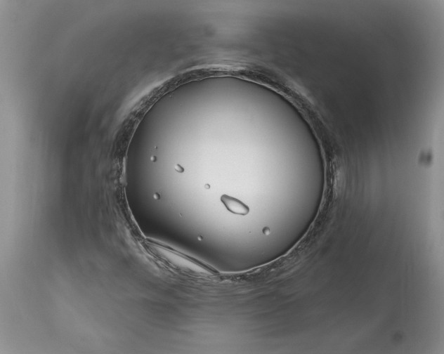 X0000113581448200910021641