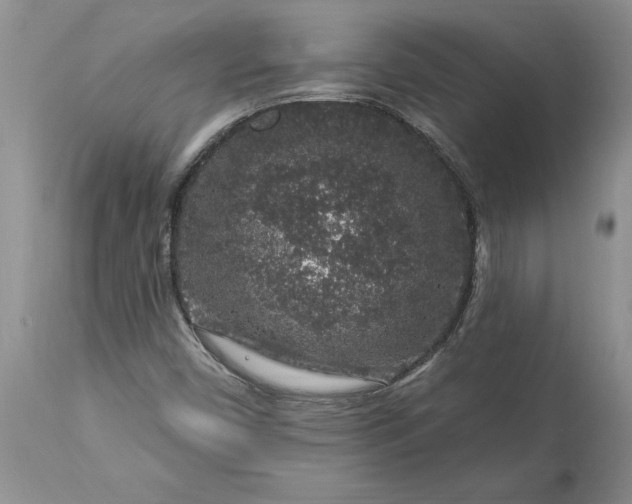 X0000113581450200910021641