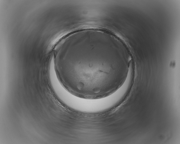 X0000113581453200910021641