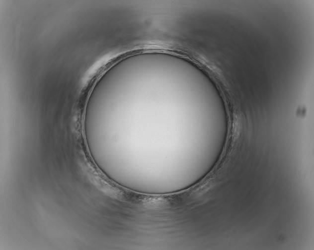 X0000113581454200910021641