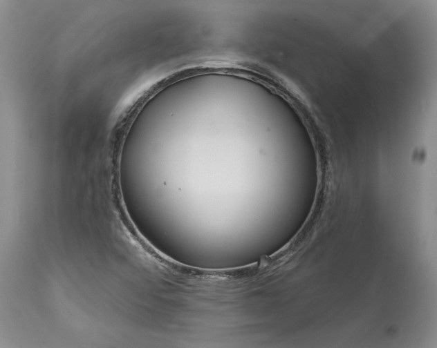 X0000113581456200910021641