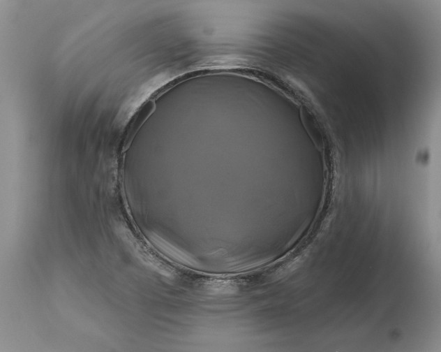 X0000113581457200910021641