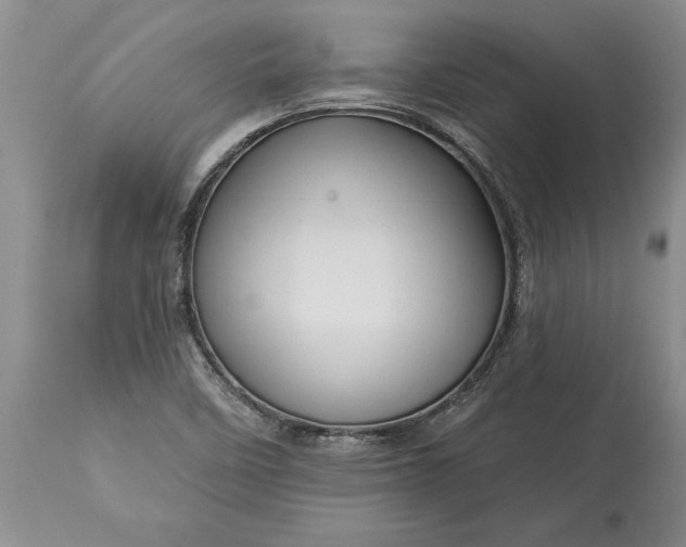 X0000113581458200910021641