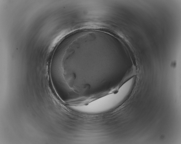 X0000113581459200910021641