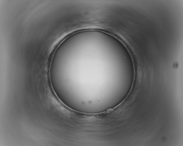 X0000113581460200910021641