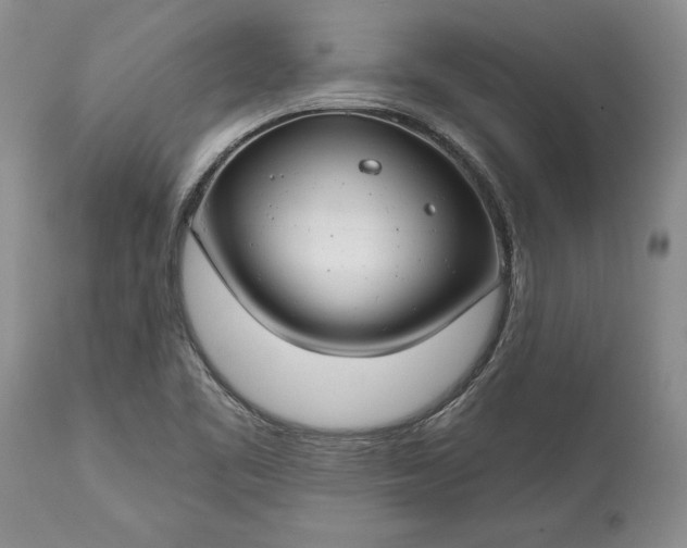 X0000113581461200910021641