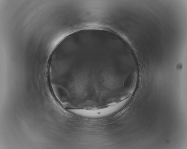 X0000113581463200910021641