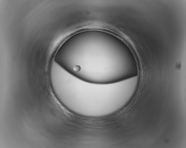 X0000113581464200910021641