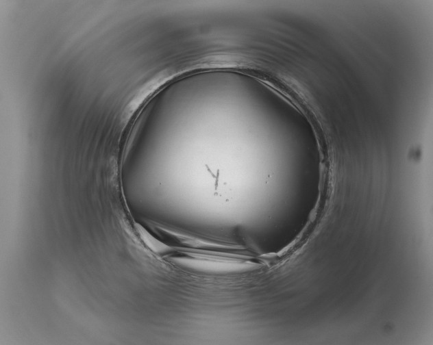 X0000113581465200910021641