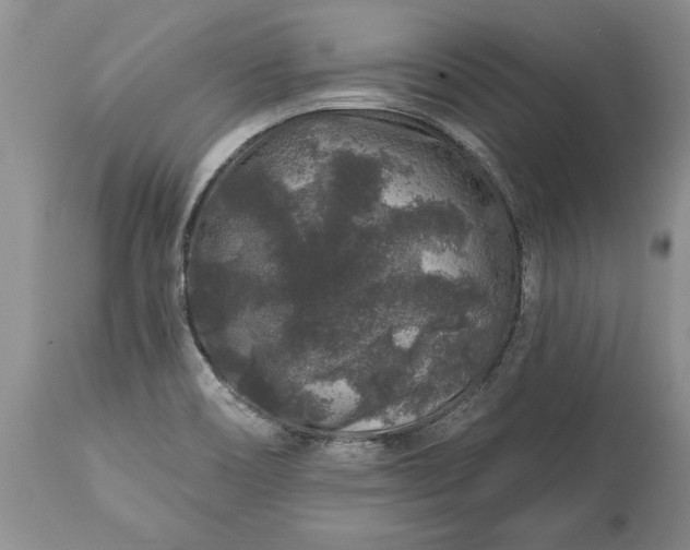 X0000113581466200910021641