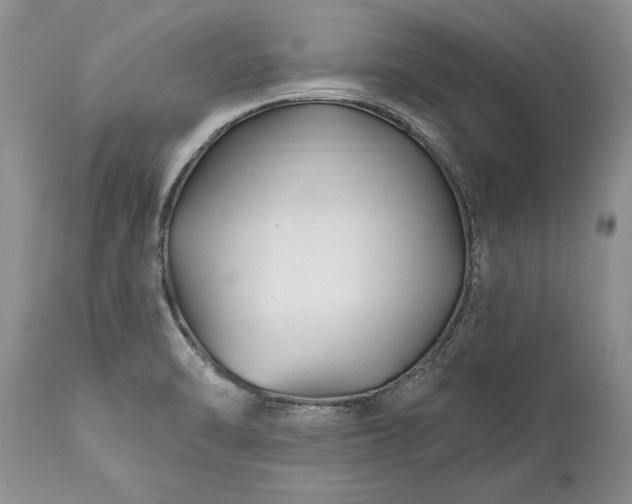 X0000113581470200910021641