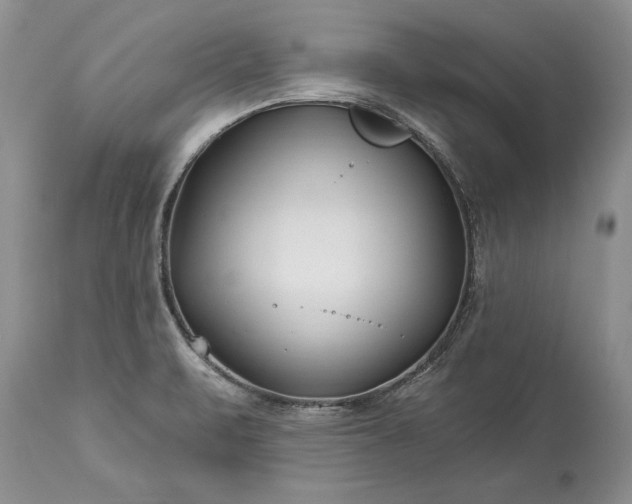 X0000113581471200910021641