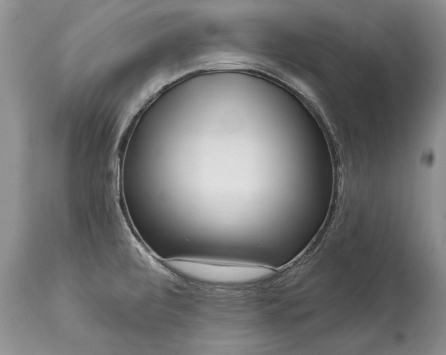 X0000113581472200910021641