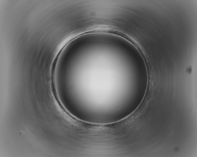 X0000113581475200910021641