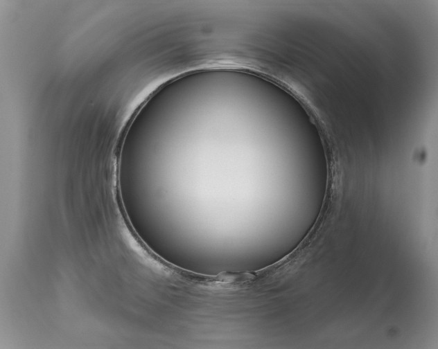 X0000113581476200910021641