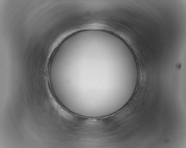 X0000113581478200910021641