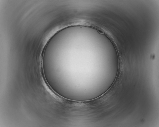 X0000113581479200910021641