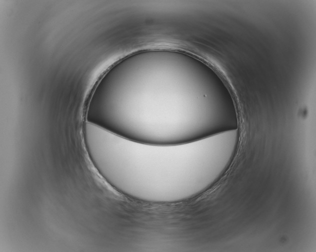 X0000113581480200910021641