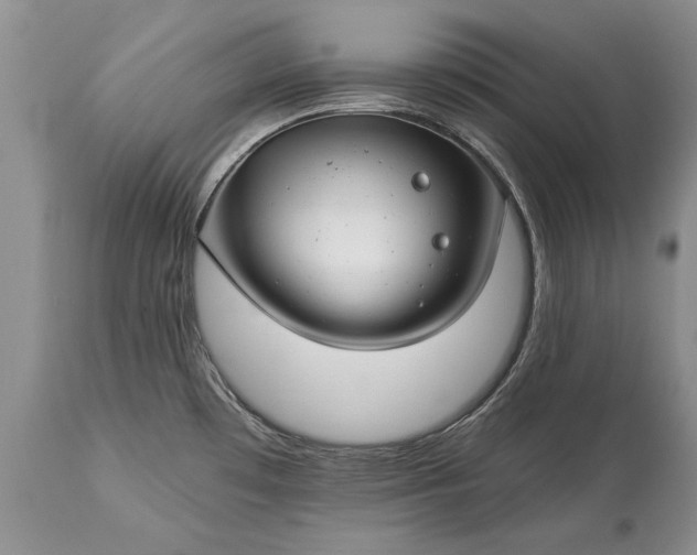 X0000113581481200910021641