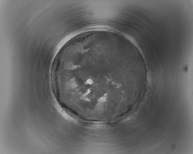 X0000113581482200910021641