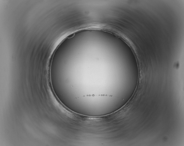 X0000113581483200910021641