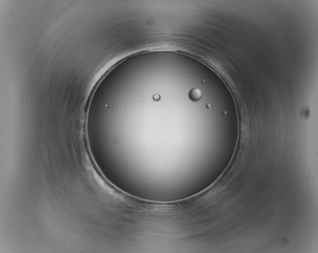 X0000113581484200910021641