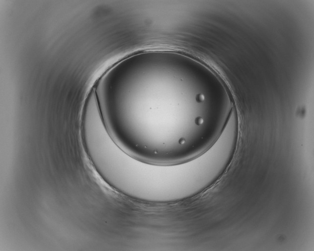 X0000113581485200910021641