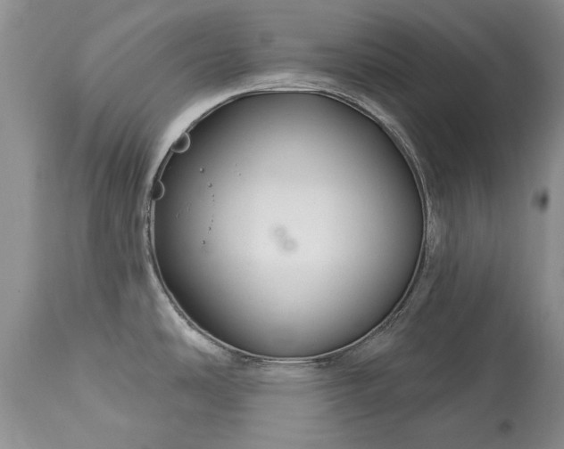 X0000113581486200910021641