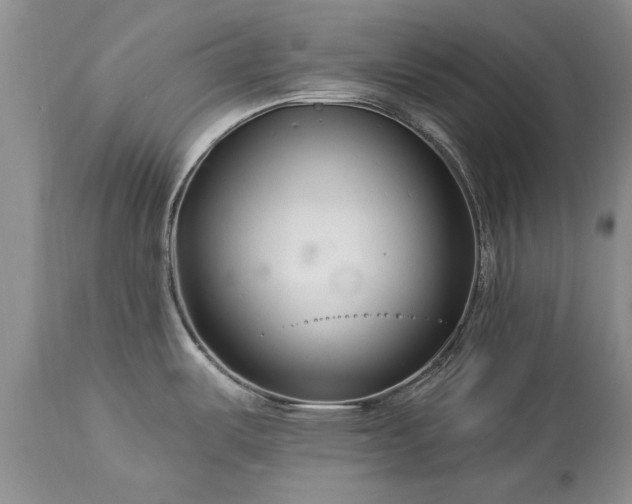 X0000113581487200910021641