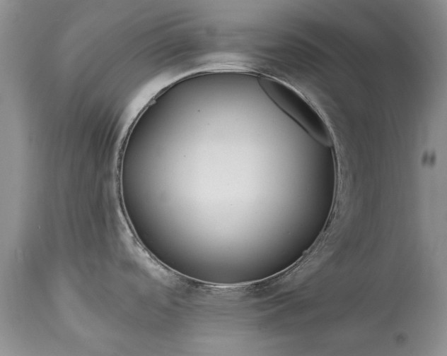 X0000113581488200910021641