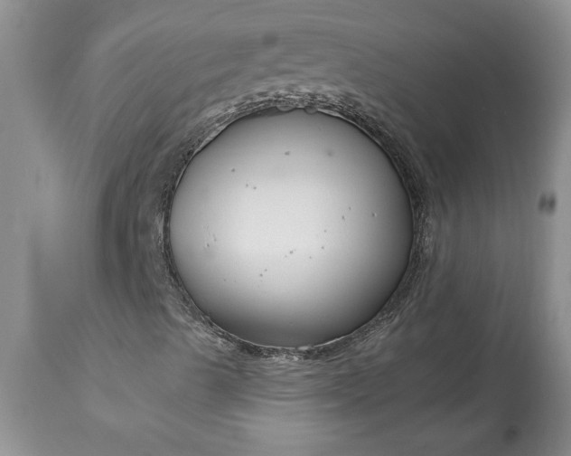 X0000113581489200910021640