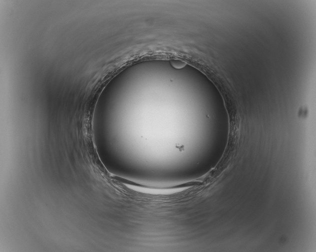 X0000113581490200910021640