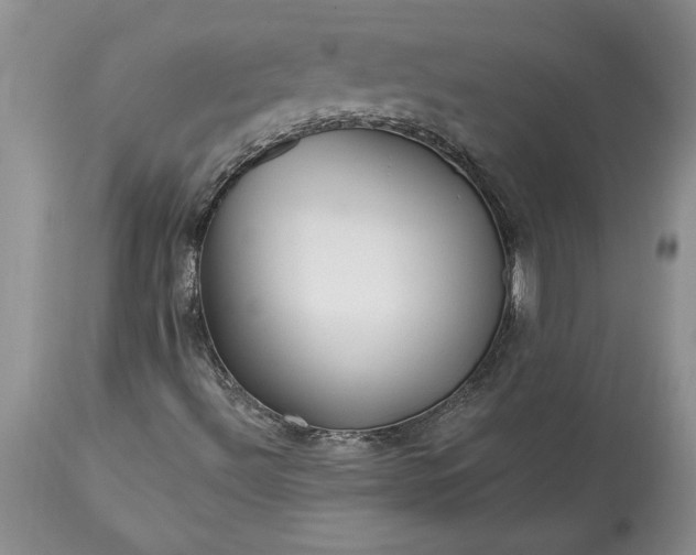 X0000113581492200910021640