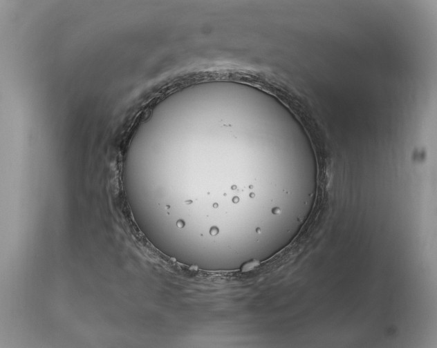 X0000113581493200910021640