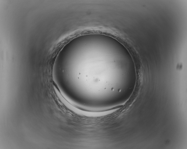 X0000113581494200910021640