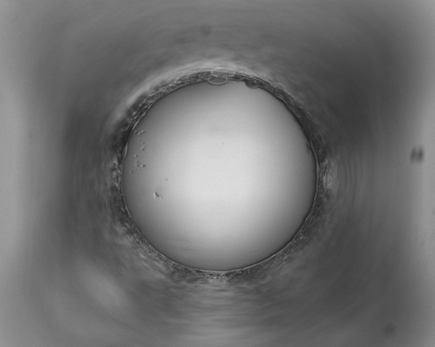 X0000113581495200910021640