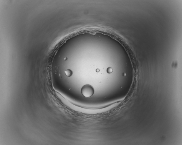 X0000113581496200910021640